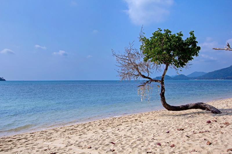 호텔 The White Knot Koh Chang