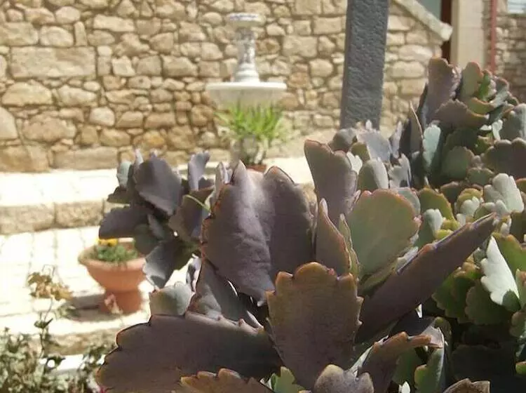 هتل Antica Cascina Resort