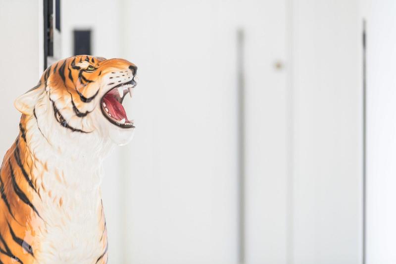 Boutique Hotel Villa Gala By Fimed Hotels