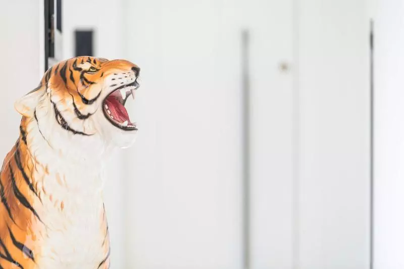 Boutique Hotel Villa Gala By Fimed Hotels