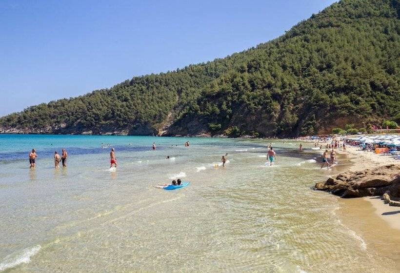 هتل Elaion Terra Boutique Guesthouse