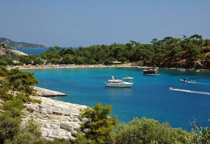 هتل Elaion Terra Boutique Guesthouse