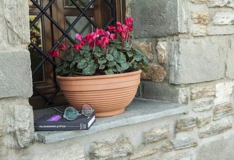 Hotelli Elaion Terra Boutique Guesthouse