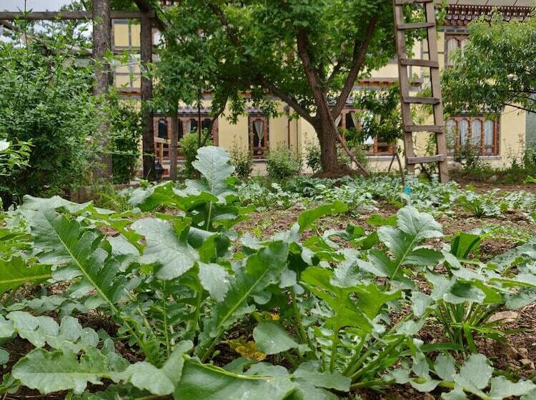 هتل Nirvana Lodge