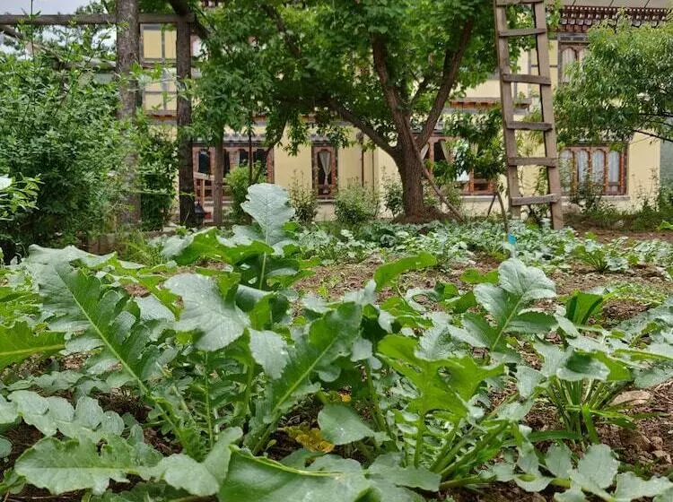 هتل Nirvana Lodge