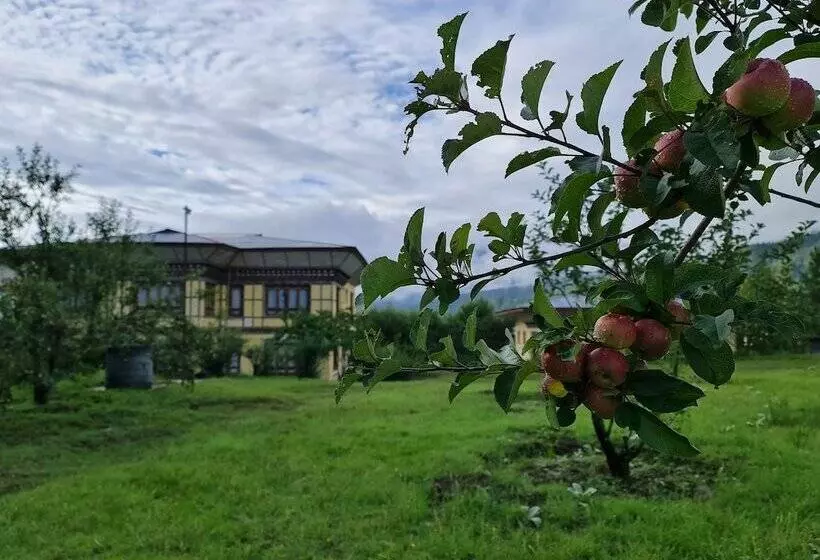 هتل Nirvana Lodge