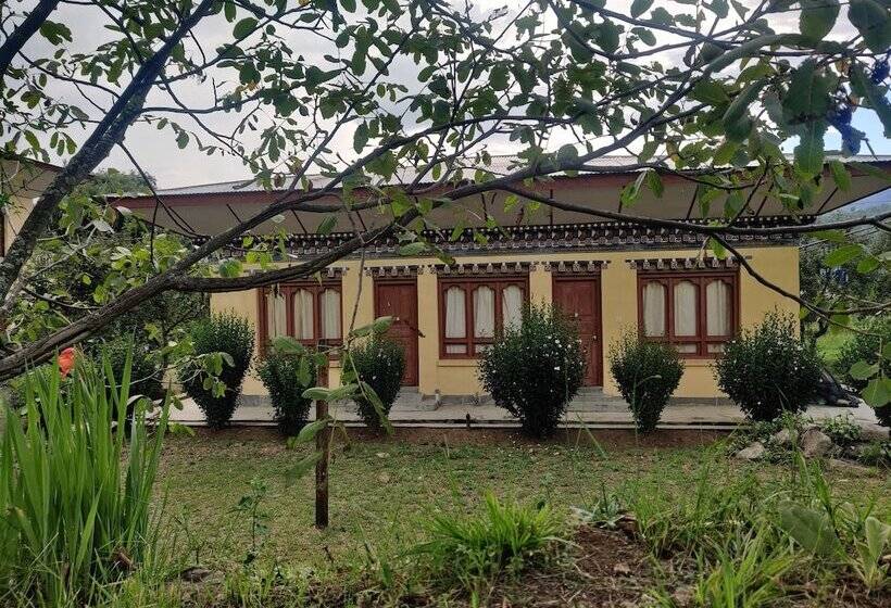 هتل Nirvana Lodge