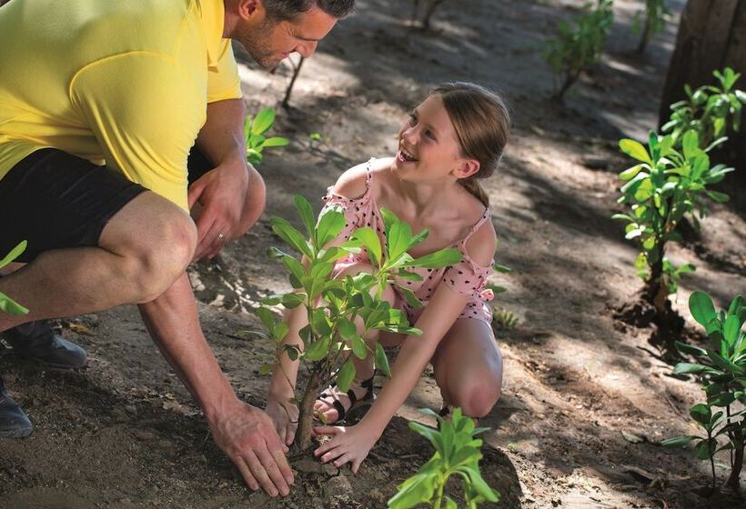 Planet Hollywood Costa Rica, an Autograph Collection Allinclusive Resort