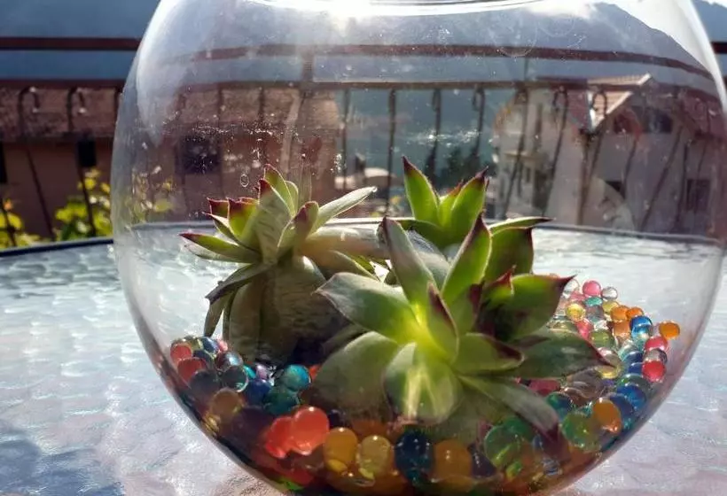 هتل Apartments Lazarevic