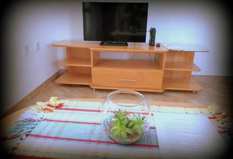 هتل Apartments Lazarevic