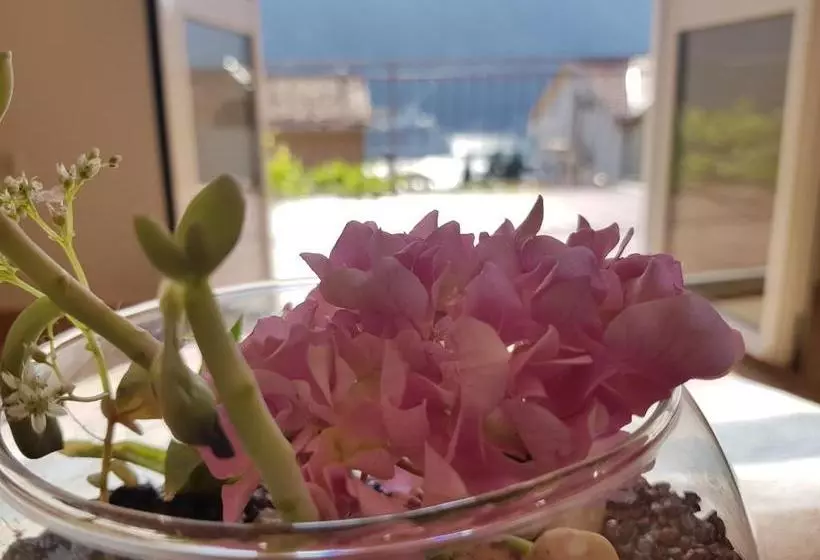 هتل Apartments Lazarevic