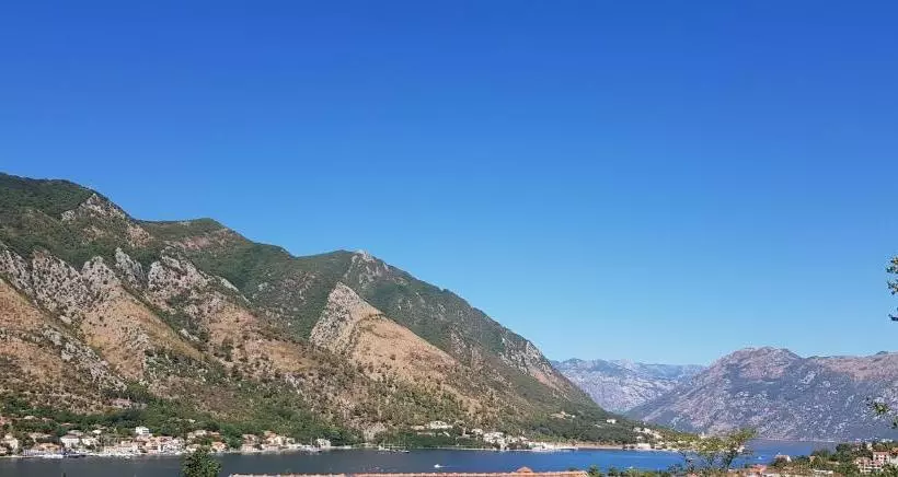 هتل Apartments Lazarevic