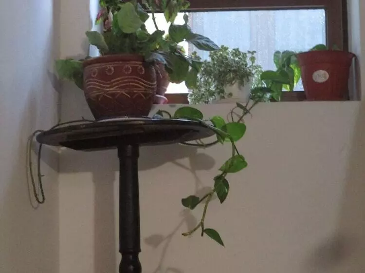 ホテル Hostal Los Aromas