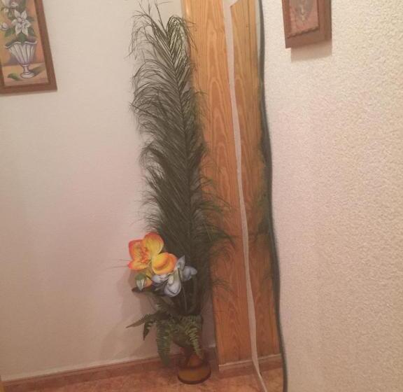 فندق Pension La Linea