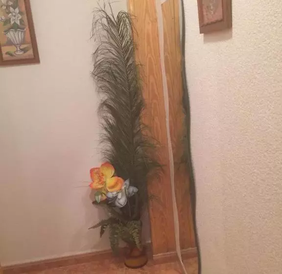 ホテル Pension La Linea