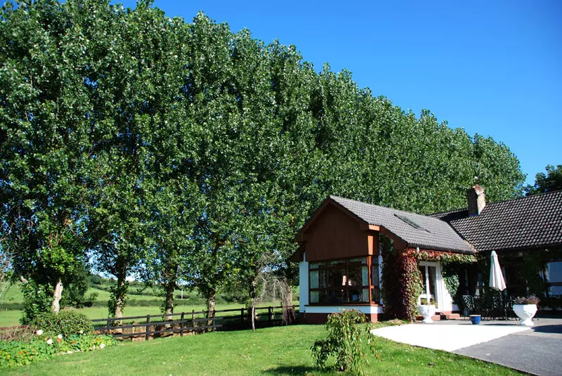 Bungalow Farmhouse B&b