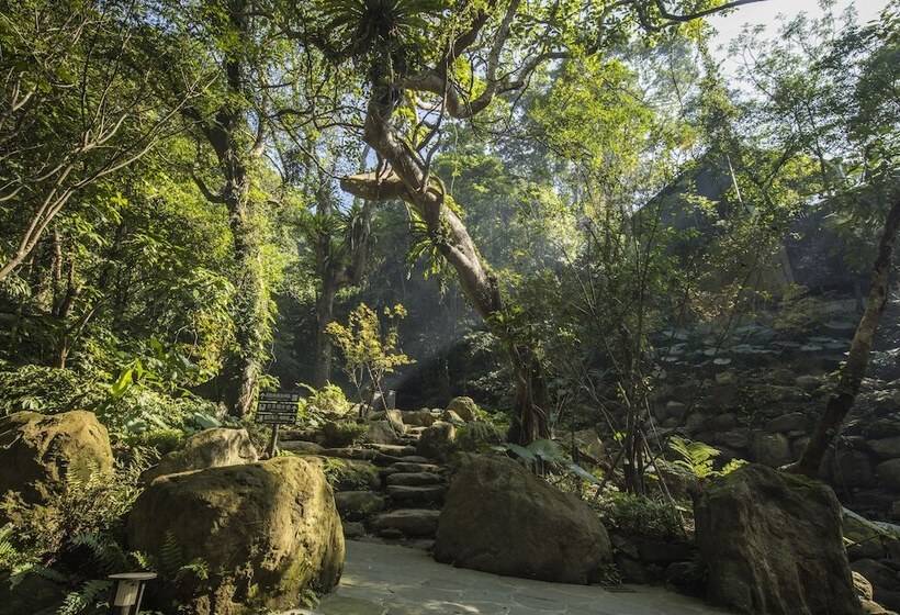 Great Roots Forestry Spa Resort