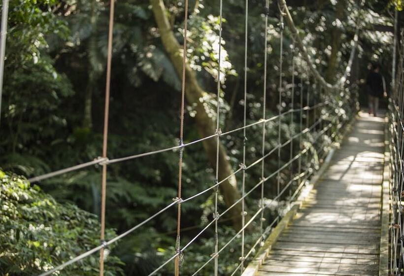 Great Roots Forestry Spa Resort