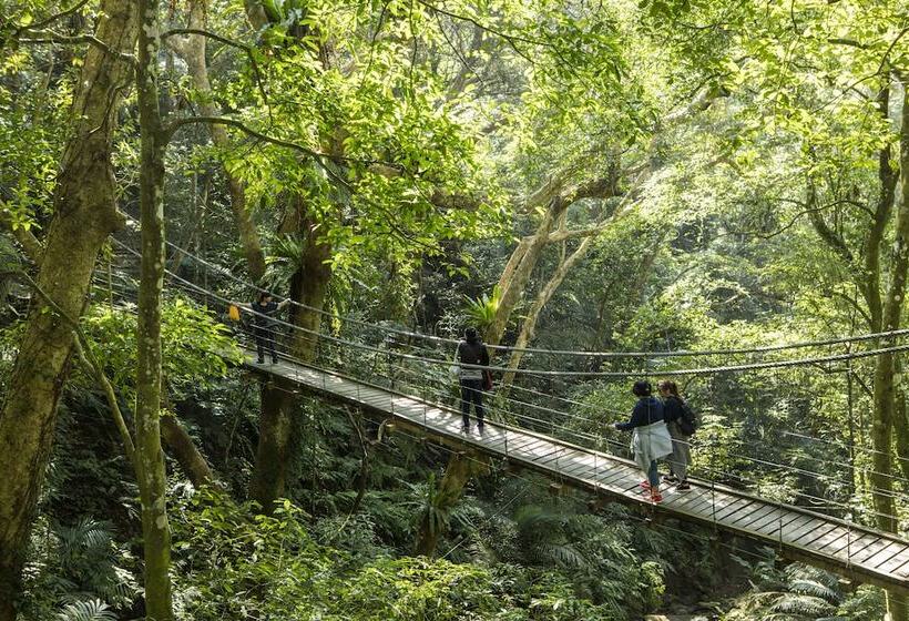Great Roots Forestry Spa Resort