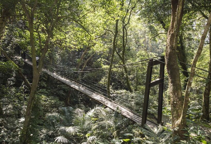 Great Roots Forestry Spa Resort