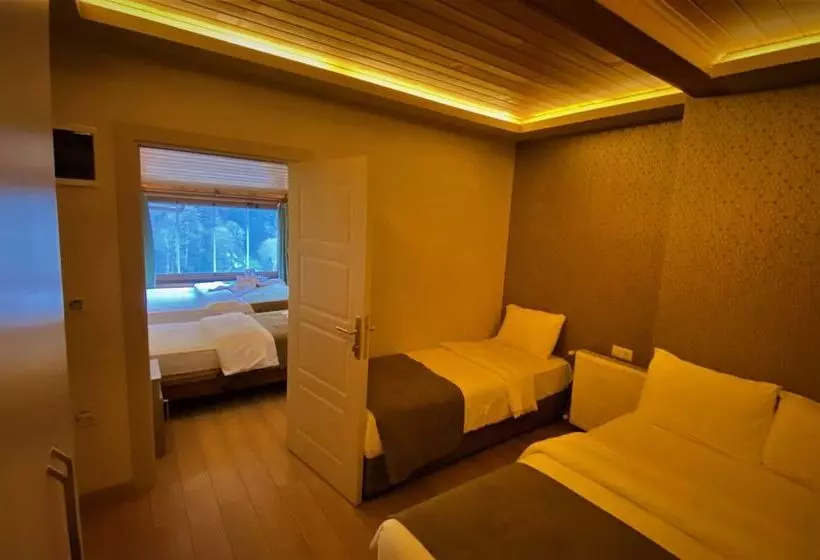 ホテル Ayder Resort