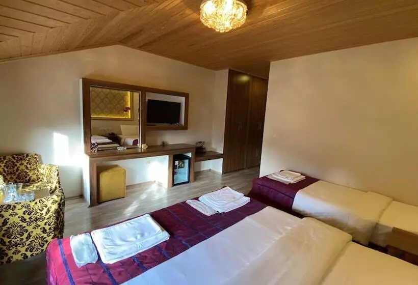 ホテル Ayder Resort