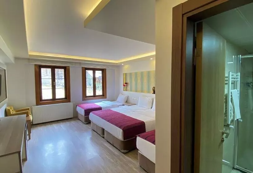 ホテル Ayder Resort