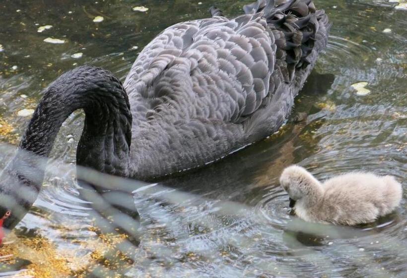 민박 The Lynch Country House