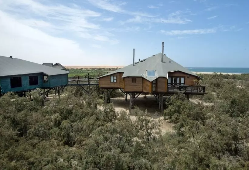 تختخواب و صبحانه Stiltz Guest House