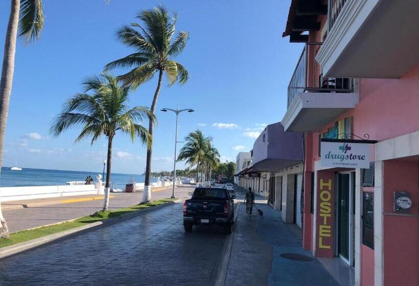 Hostel Tropico 20º Oceanfront