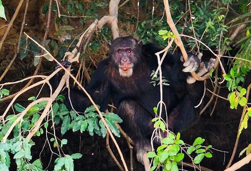 هتل Balafon Beach Resort