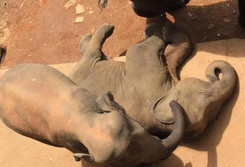 Hotel Cafe Pinnalanda