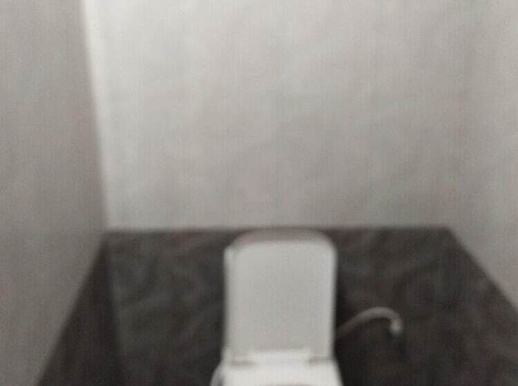 هتل Shree Vallabh