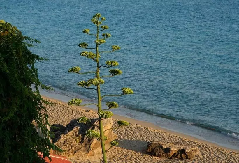 Infinity Beach House In Kefalonia