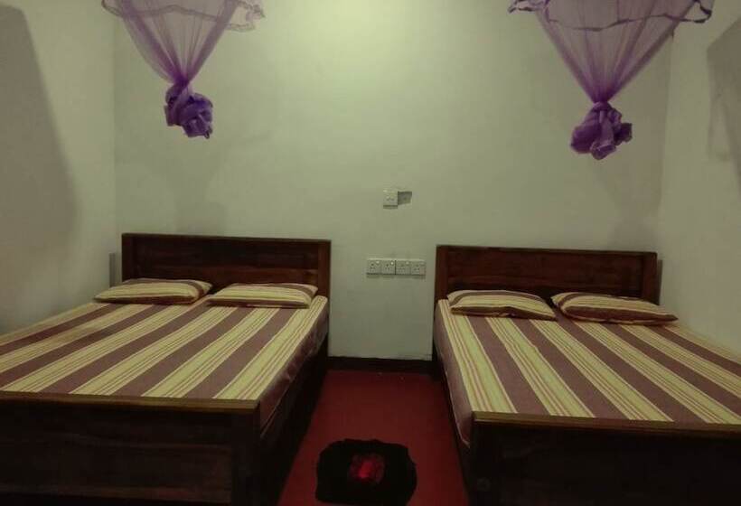 Majatalo Mango Shade