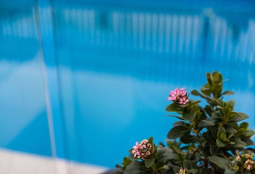 The Wellington Bed And Breakfast