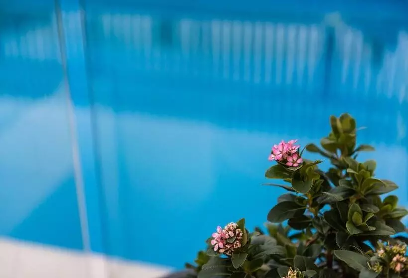 The Wellington Bed And Breakfast