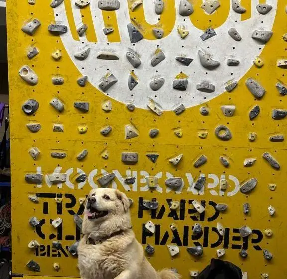 ホテル Yangshuo Singing River Climbers House 阳朔八月客栈 原江缘攀岩客栈