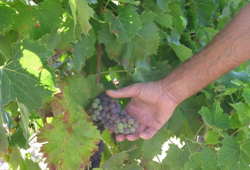 צימר Chambres D'hôtes Multari