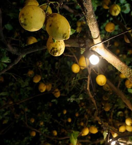 צימר La Casa Sul Faro