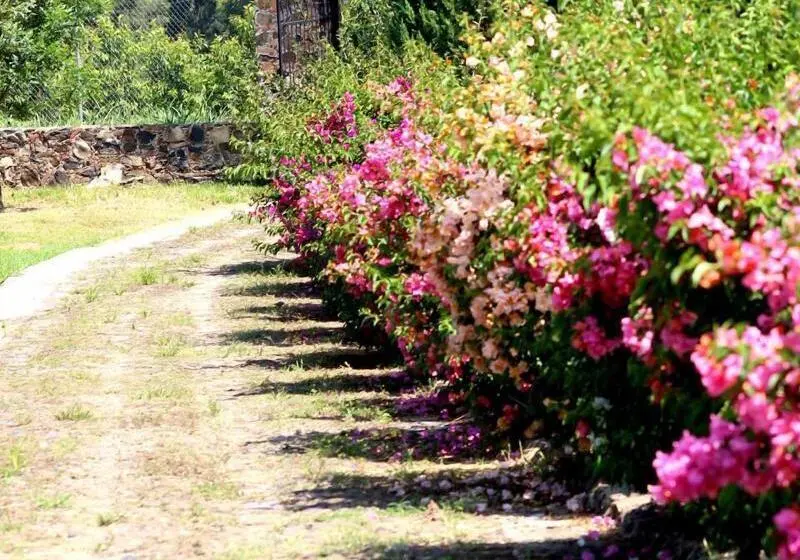 簡易ホテル Hacienda San Nicolas De Las Fuentes