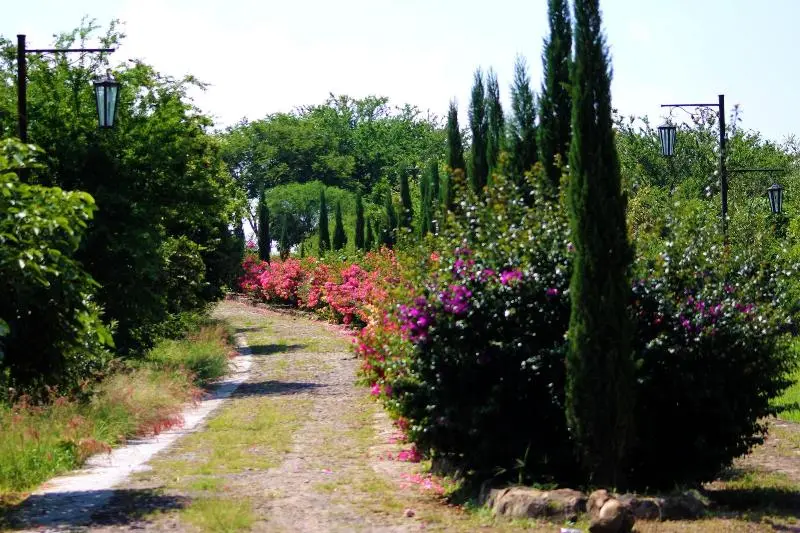 簡易ホテル Hacienda San Nicolas De Las Fuentes