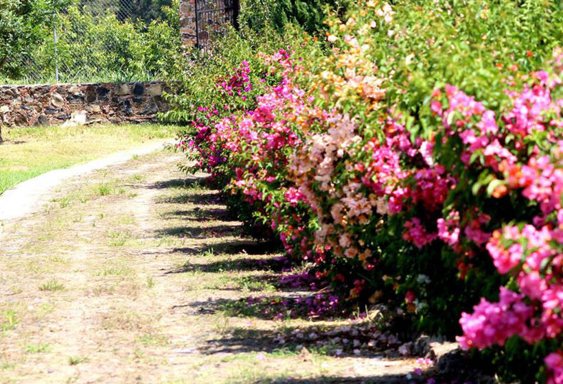 فندق فئة نجمة واحدة Hacienda San Nicolas De Las Fuentes