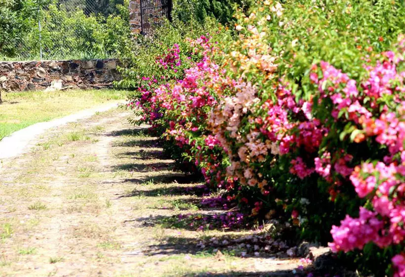 Hostelli Hacienda San Nicolas De Las Fuentes