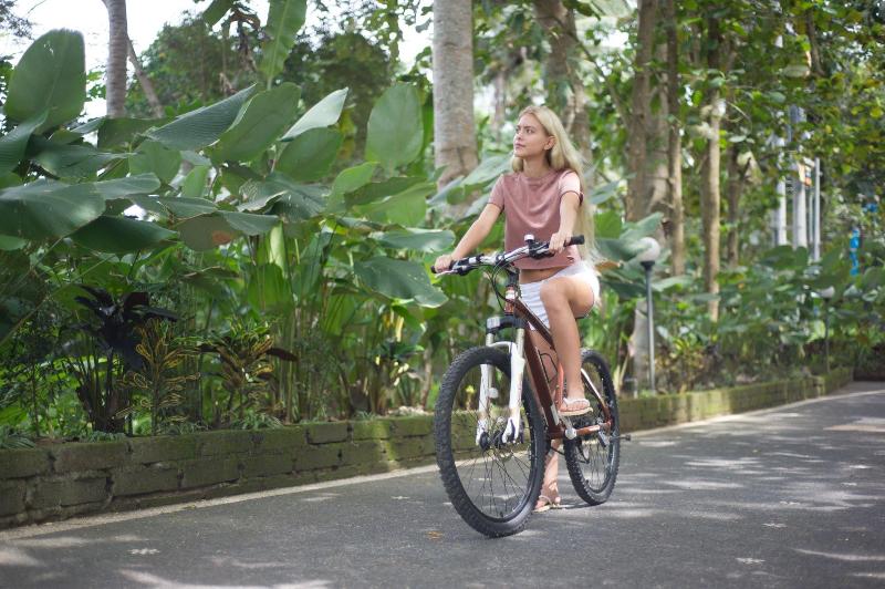 בית מלון כפרי Yoga Amertham Retreat & Resort