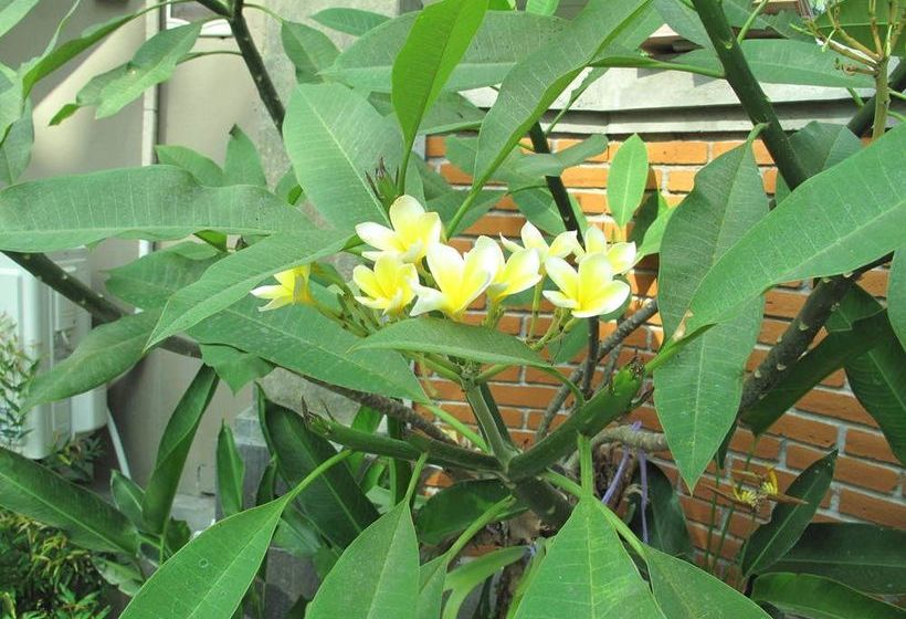 펜션 Sunrise House