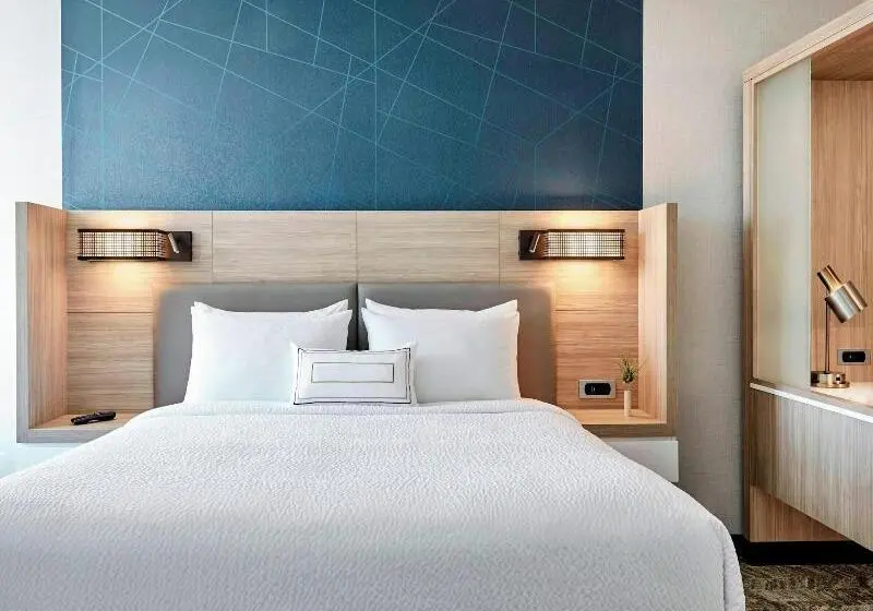 ホテル Springhill Suites By Marriott High Point