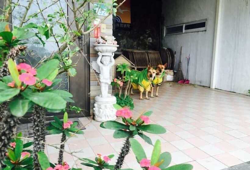 تختخواب و صبحانه Villa High Wharf