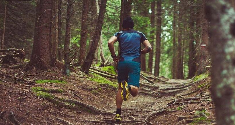 Borovets Gardens Apart