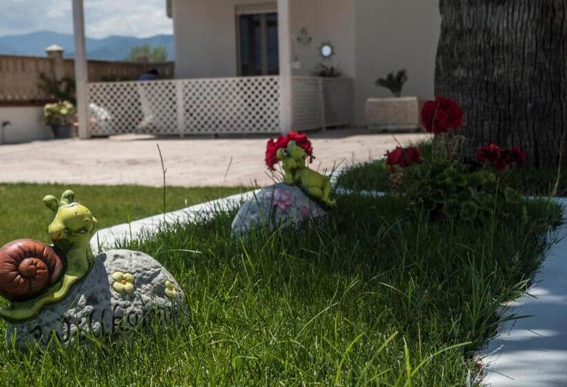 호텔 Holiday Affittacamere